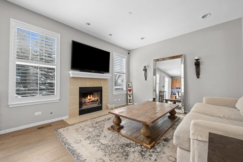 Tiny photo for 21889 W Talia Lane, Deer Park, IL 60010 (MLS # 12596096)