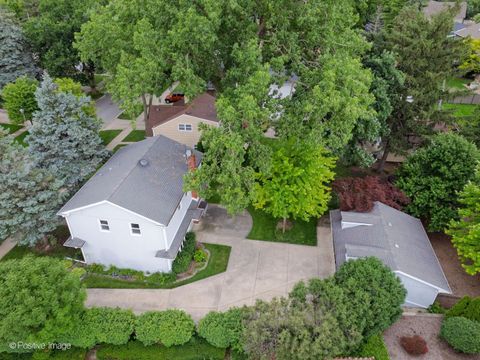 Tiny photo for 113 N Oak Street, Elmhurst, IL 60126 (MLS # 12688342)