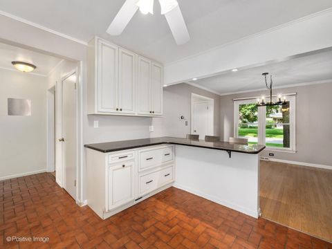 Tiny photo for 113 N Oak Street, Elmhurst, IL 60126 (MLS # 12688342)