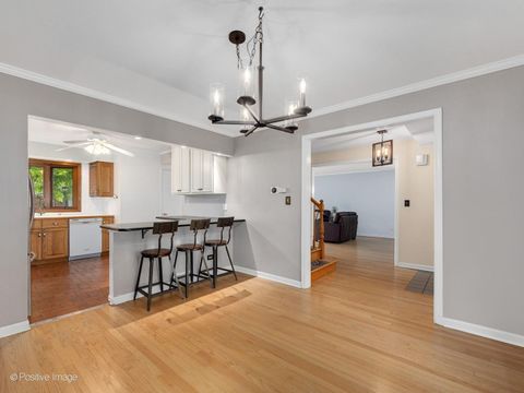 Tiny photo for 113 N Oak Street, Elmhurst, IL 60126 (MLS # 12688342)