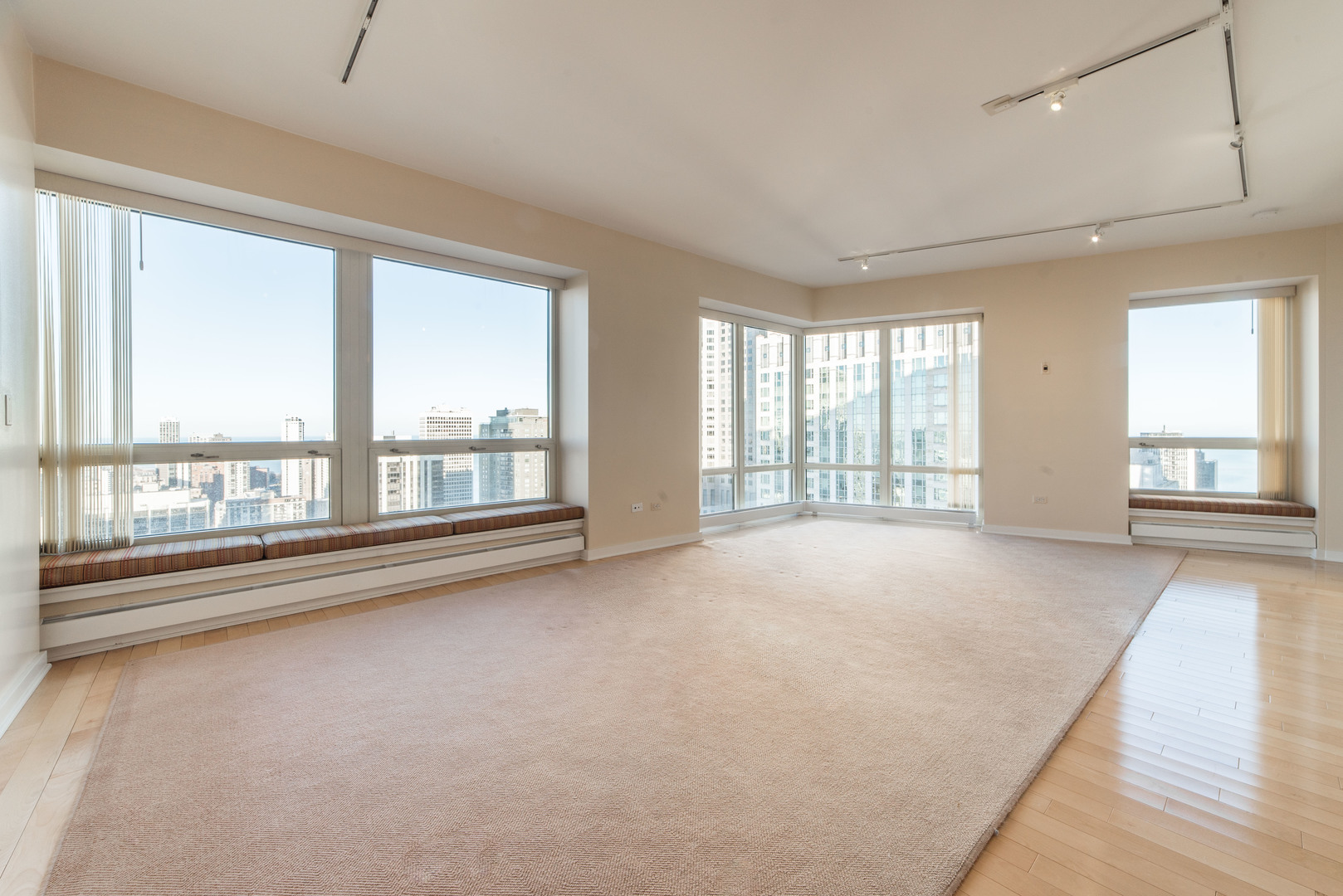 57 E Delaware Place 3204