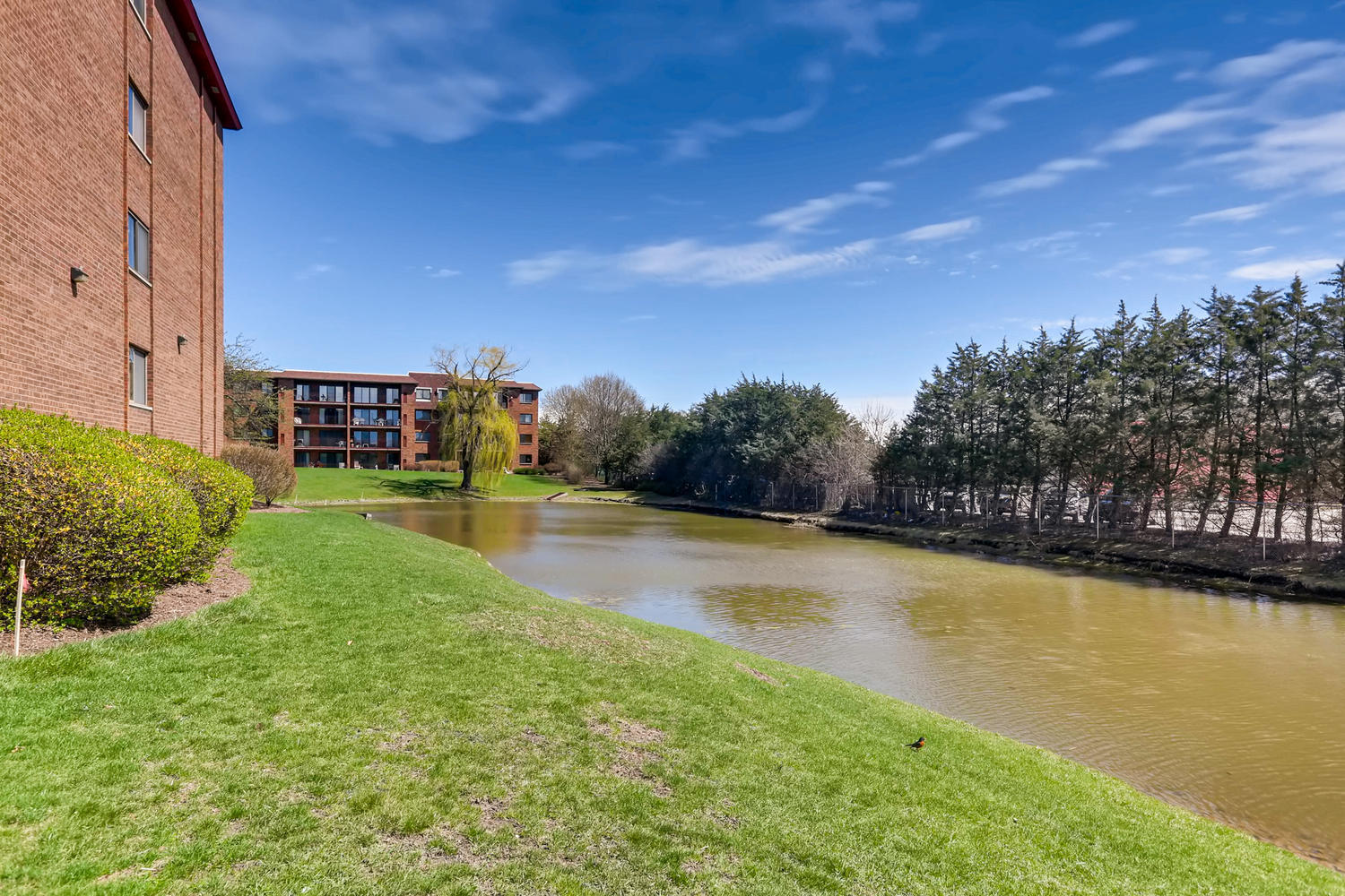 101 Old Oak Drive 305