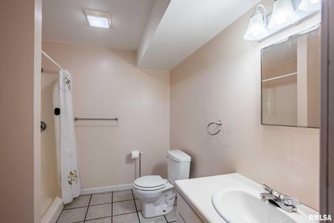 Tiny photo for 450 Clark School Road, Desoto, IL 62924 (MLS # QC4269747)