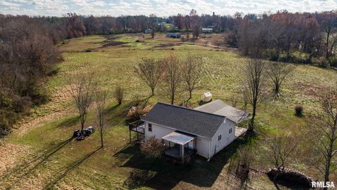 Tiny photo for 450 Clark School Road, Desoto, IL 62924 (MLS # QC4269747)