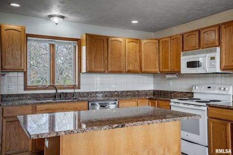 Tiny photo for 450 Clark School Road, Desoto, IL 62924 (MLS # QC4269747)