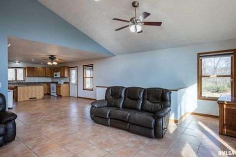 Tiny photo for 450 Clark School Road, Desoto, IL 62924 (MLS # QC4269747)