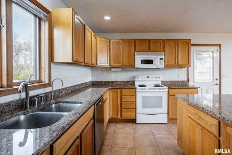 Tiny photo for 450 Clark School Road, Desoto, IL 62924 (MLS # QC4269747)