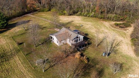 Tiny photo for 450 Clark School Road, Desoto, IL 62924 (MLS # QC4269747)