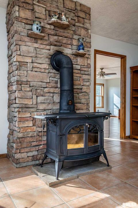 Tiny photo for 450 Clark School Road, Desoto, IL 62924 (MLS # QC4269747)