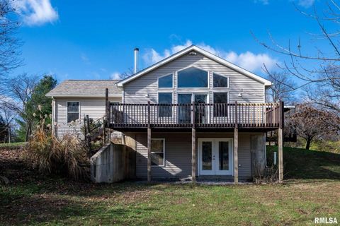 Tiny photo for 450 Clark School Road, Desoto, IL 62924 (MLS # QC4269747)