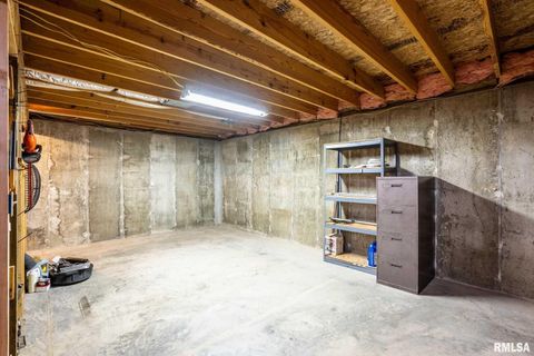 Tiny photo for 450 Clark School Road, Desoto, IL 62924 (MLS # QC4269747)