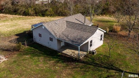 Tiny photo for 450 Clark School Road, Desoto, IL 62924 (MLS # QC4269747)