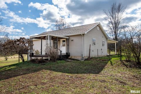 Tiny photo for 450 Clark School Road, Desoto, IL 62924 (MLS # QC4269747)