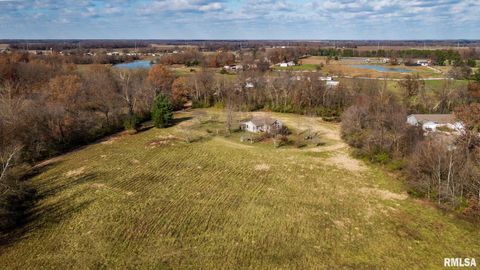Tiny photo for 450 Clark School Road, Desoto, IL 62924 (MLS # QC4269747)