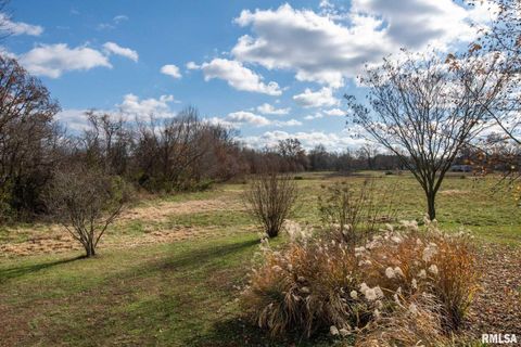 Tiny photo for 450 Clark School Road, Desoto, IL 62924 (MLS # QC4269747)