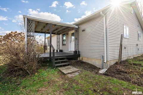 Tiny photo for 450 Clark School Road, Desoto, IL 62924 (MLS # QC4269747)