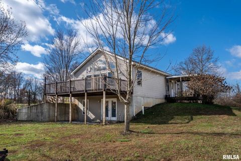 Tiny photo for 450 Clark School Road, Desoto, IL 62924 (MLS # QC4269747)