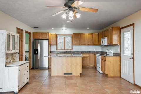 Tiny photo for 450 Clark School Road, Desoto, IL 62924 (MLS # QC4269747)