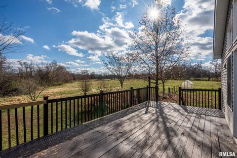 Tiny photo for 450 Clark School Road, Desoto, IL 62924 (MLS # QC4269747)