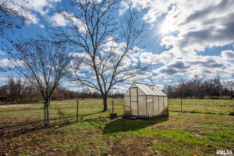 Tiny photo for 450 Clark School Road, Desoto, IL 62924 (MLS # QC4269747)