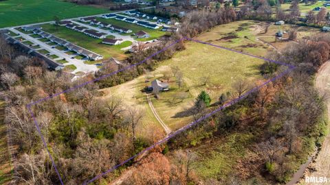 Tiny photo for 450 Clark School Road, Desoto, IL 62924 (MLS # QC4269747)