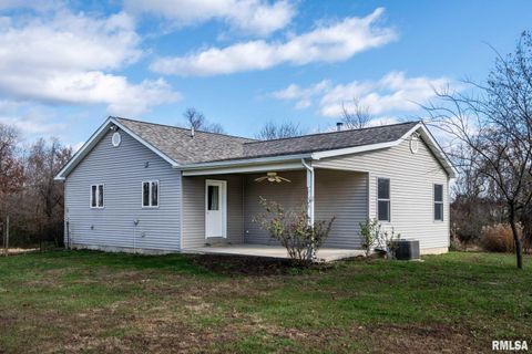 Tiny photo for 450 Clark School Road, Desoto, IL 62924 (MLS # QC4269747)