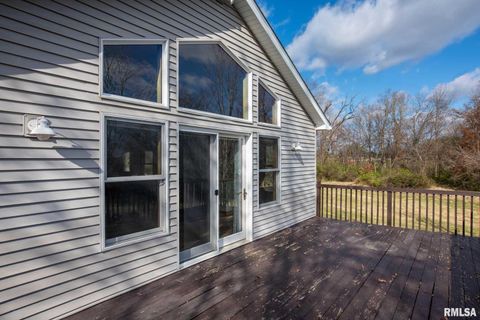 Tiny photo for 450 Clark School Road, Desoto, IL 62924 (MLS # QC4269747)