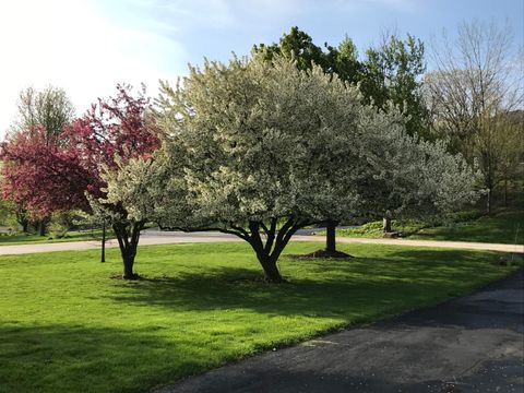 Tiny photo for 39W228 W Hilltop Drive, St. Charles, IL 60175 (MLS # 12598516)