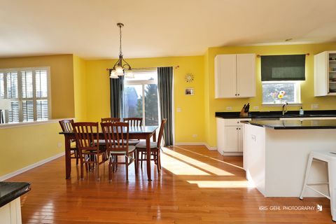 Tiny photo for 233 W Olmsted Lane, Round Lake, IL 60073 (MLS # 12580463)