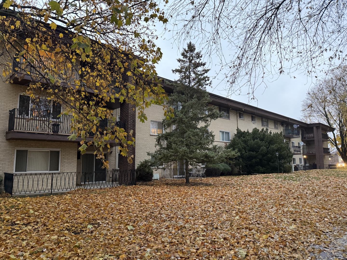 505 S Cleveland Avenue 303