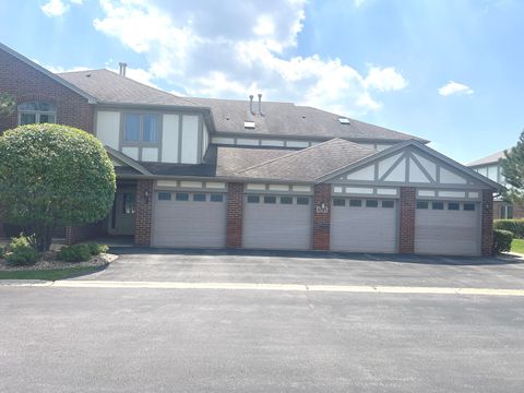 Photo of 6243 Misty Pines Drive #1, Tinley Park, IL 60477 (MLS # 12465771)