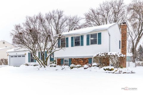 Tiny photo for 225 Wickham Drive, Schaumburg, IL 60194 (MLS # 12530585)
