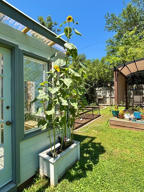 Tiny photo for 406 Woodbine Avenue, Island Lake, IL 60042 (MLS # 12777168)