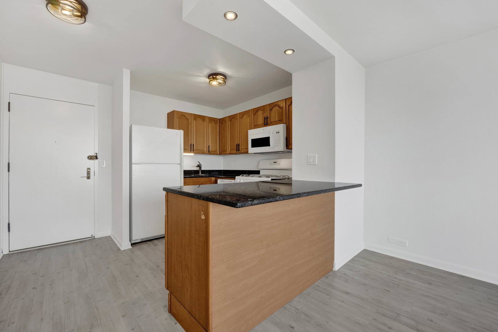 2800 N LAKE SHORE Drive 3113