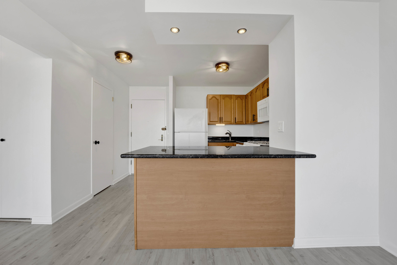 2800 N LAKE SHORE Drive 3113