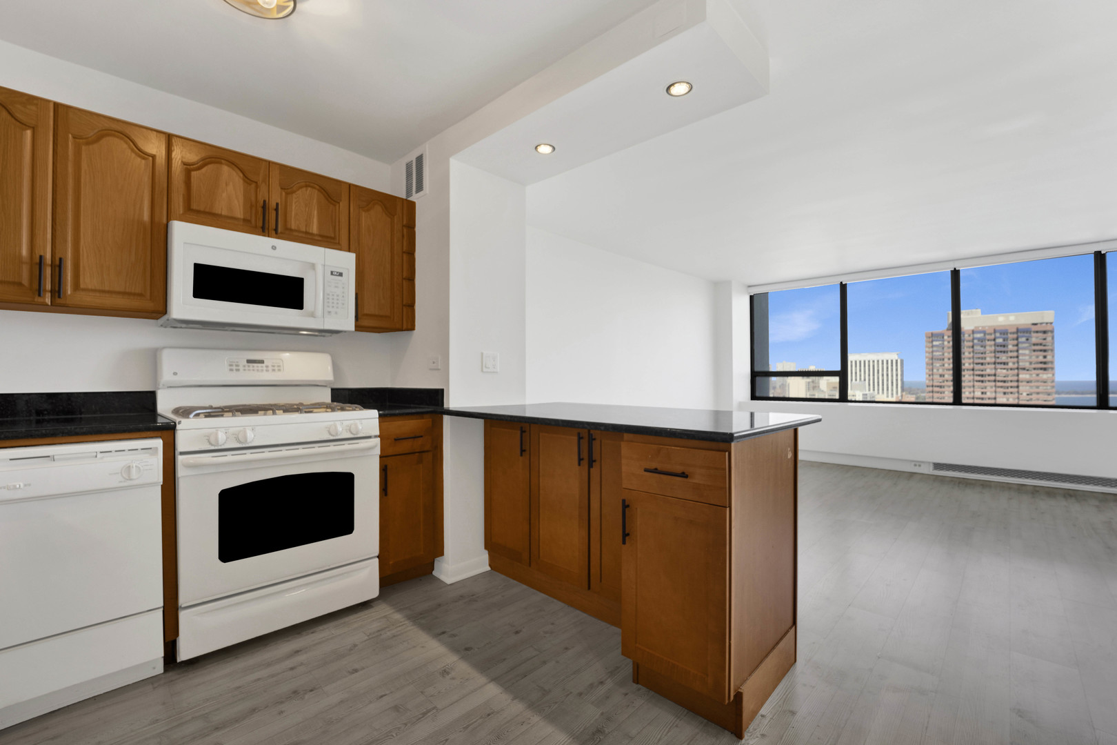 2800 N LAKE SHORE Drive 3113