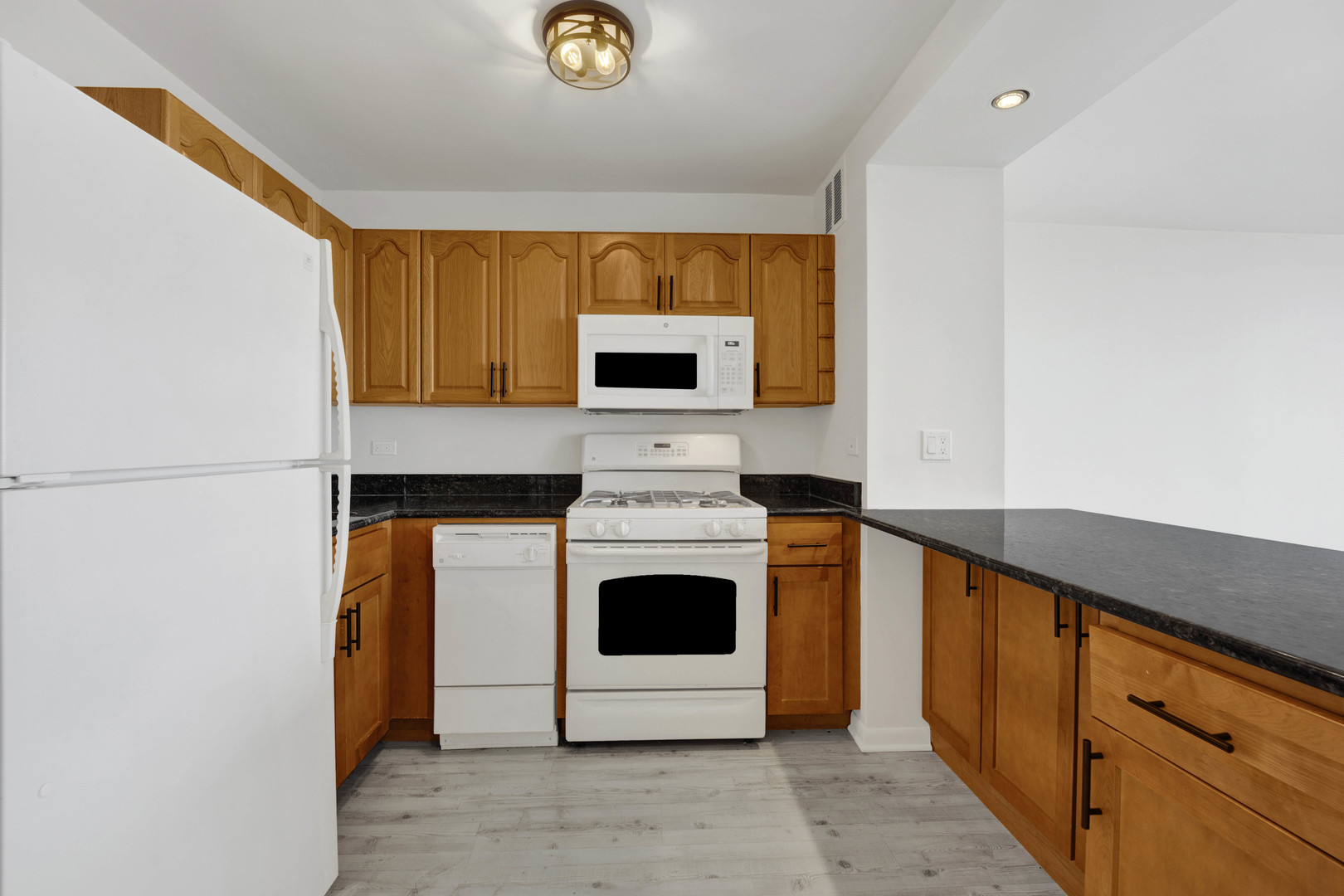 2800 N LAKE SHORE Drive 3113