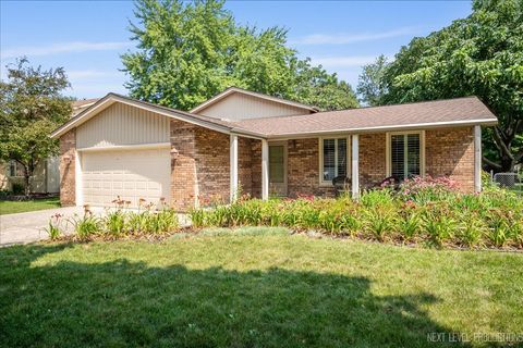 Photo of 24106 W Pheasant Chase Drive, Plainfield, IL 60544 (MLS # 12459309)