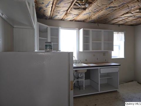 Tiny photo for 243 Main Street, Carthage, IL 62321 (MLS # 12273078)