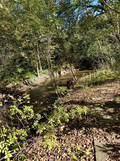 Tiny photo for 257-259 N Brookdale Lane, Palatine, IL 60067 (MLS # 12772822)