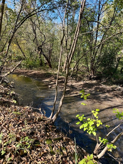 Tiny photo for 257-259 N Brookdale Lane, Palatine, IL 60067 (MLS # 12772822)