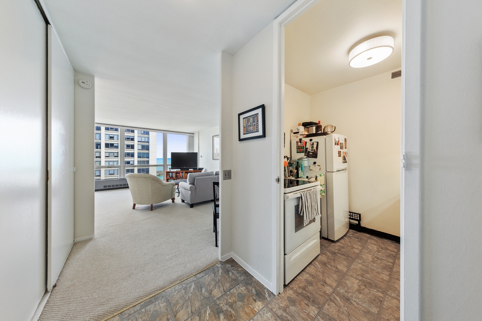 330 W Diversey Parkway 1809