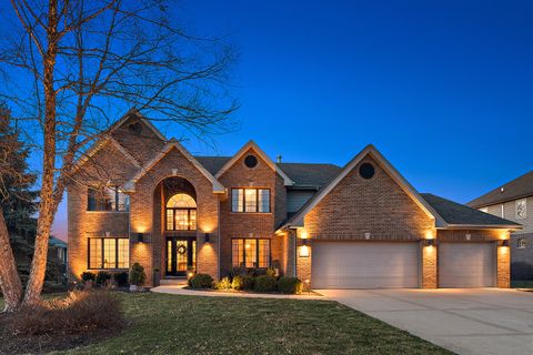 Photo of 10626 Shilling Road, Frankfort, IL 60423 (MLS # 12600988)