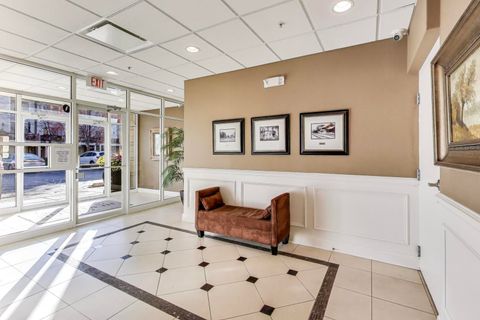 Tiny photo for 50 S Greeley Street #204, Palatine, IL 60067 (MLS # 12501957)