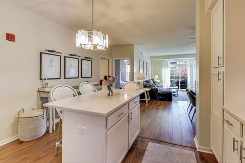 Tiny photo for 50 S Greeley Street #204, Palatine, IL 60067 (MLS # 12501957)