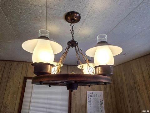 Tiny photo for 7847 Old Highway 50, Flora, IL 62839 (MLS # EB460820)