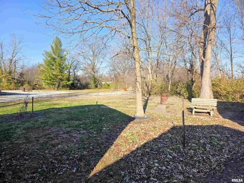 Tiny photo for 7847 Old Highway 50, Flora, IL 62839 (MLS # EB460820)