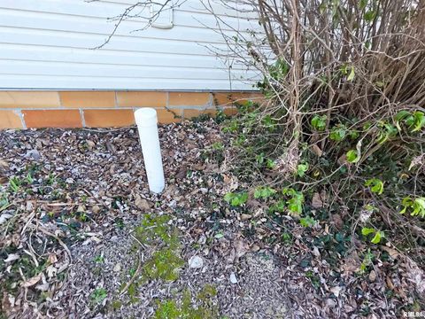 Tiny photo for 7847 Old Highway 50, Flora, IL 62839 (MLS # EB460820)