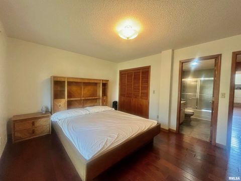 Tiny photo for 9 BRIAN Drive, Metropolis, IL 62960 (MLS # EB459254)