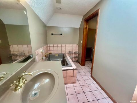 Tiny photo for 9 BRIAN Drive, Metropolis, IL 62960 (MLS # EB459254)